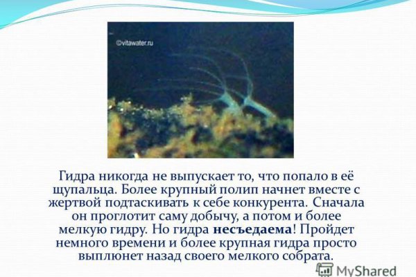 Зайти кракен через тор
