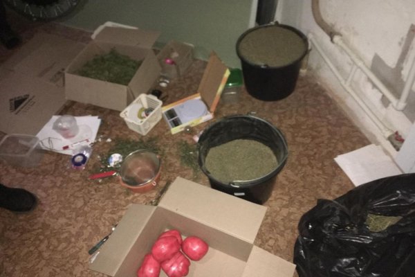 Кракен маркетплейс ссылка тг