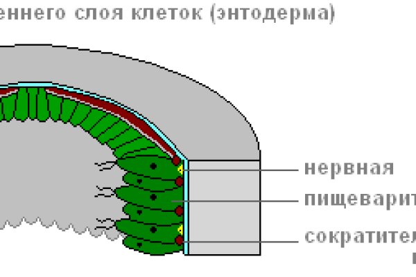 Почему кракен перестал работать